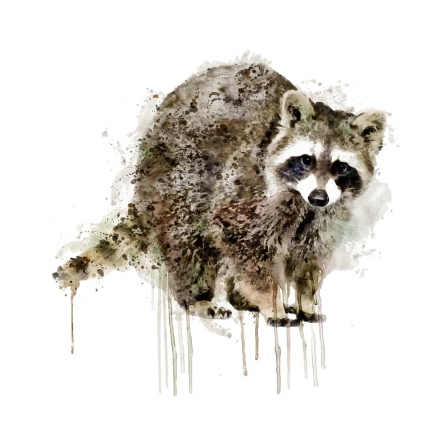 Raccoon by Marian Voicu