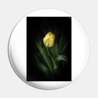 Single Yellow Tulip Still Life Pin