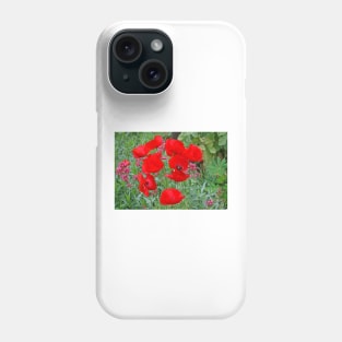 Poppies, Holme Gardens, June 2020 Phone Case