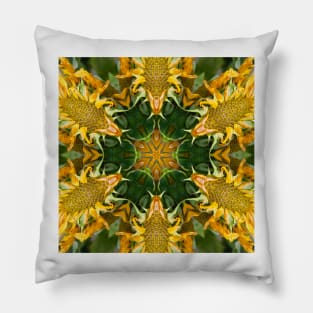 Meet Me In The Garden Pillow