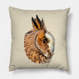 Long Eared Owl Pillow