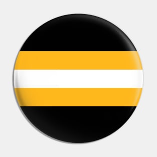 Pittsburgh Color Stripes Pin