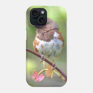 Eastern Towhee Phone Case