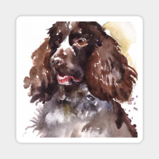 Boykin Spaniel Watercolor - Dog Lover Gifts Magnet