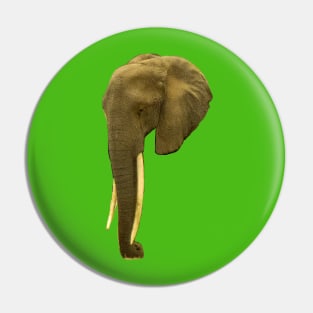 Portrait of an Elephant Pin