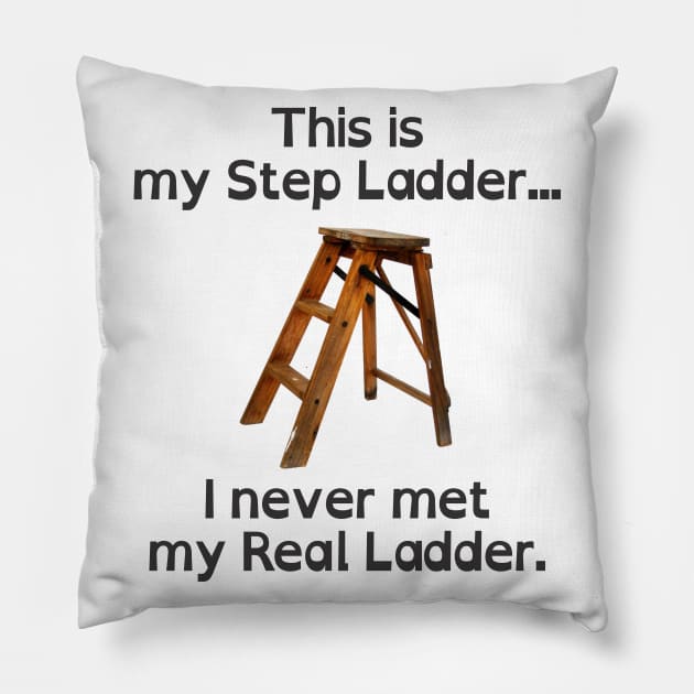 This is my Step Ladder Pillow by SaKaNa