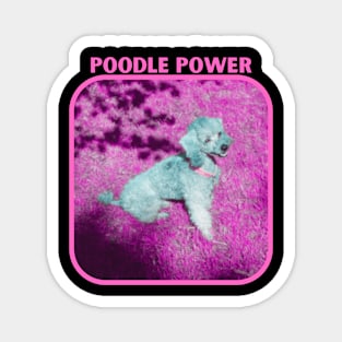 Poodle Power Magnet