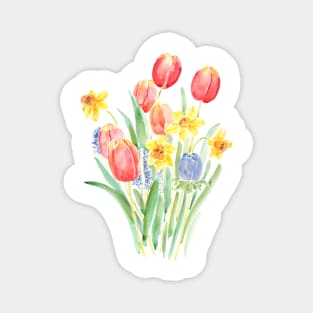 red tulips and yellow daffodils watercolor Magnet