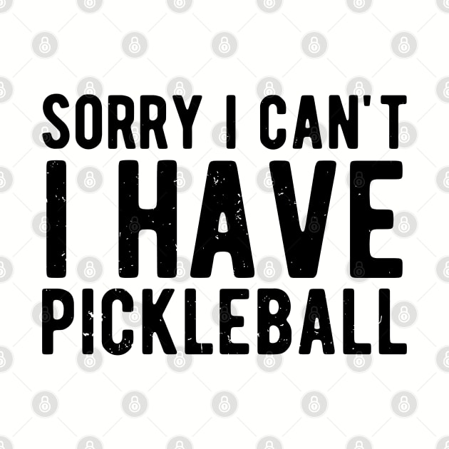 sorry i cant i have pickleball by Gaming champion