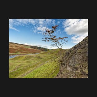 The Old Quarry - Bollihope T-Shirt