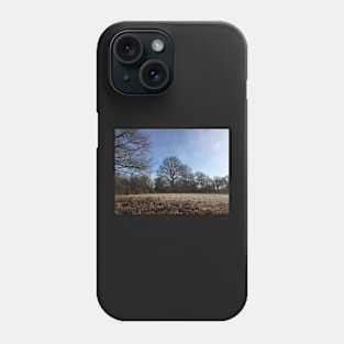 French Countryside In Winter Phone Case