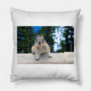 Chipmunk in Banff Alberta in Canada Pillow