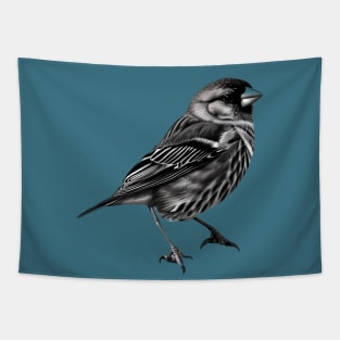 Finch Drawing in Black and White - Monochrome Drawing Bird Tapestry