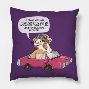 World Champion race car driver Hamster Pillow