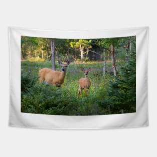 White-tailed deer and fawn Tapestry