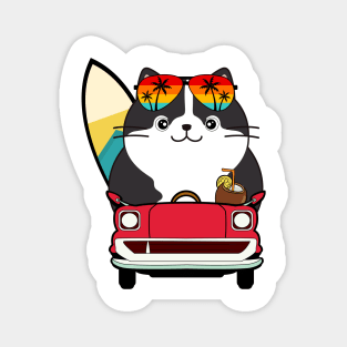 Funny Fat cat is driving to the beach Magnet