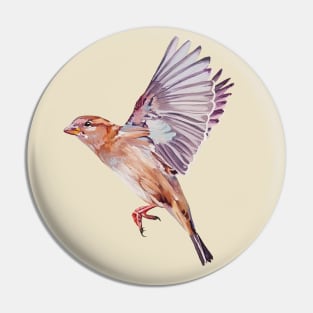 Magical House Sparrow painting (no background) Pin