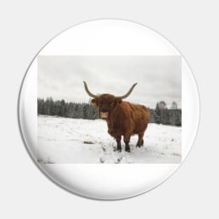 Scottish Highland Cattle Cow 2180 Pin