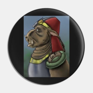 Guard Other Worldly Character Creature Design Pin