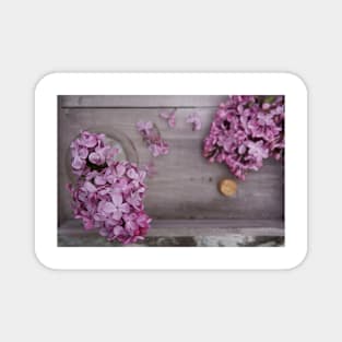 Fragrant purple Lilacs in a vase. Magnet