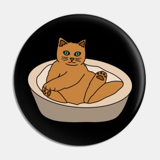 Orange Cat Pin