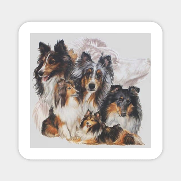 Obedient Shetland Sheepdog Grouping Magnet by BarbBarcikKeith