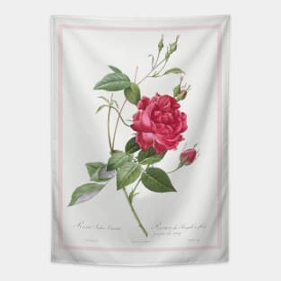 Blood-Red Bengal Rose Tapestry