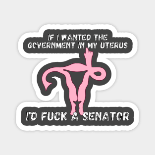If I Wanted The Government In My Uterus Shirt Magnet