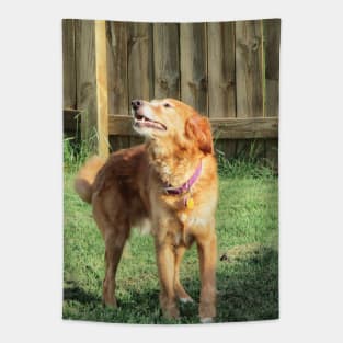 Golden Retriever Tapestry