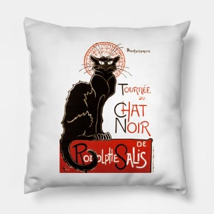 Chat Noir Pillow