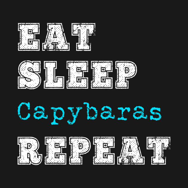 Funny Capybara Love Eat Sleep Repeat Capybaras Lover Gift by HuntTreasures