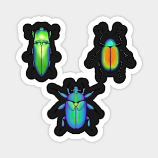 Mini Beetles Magnet