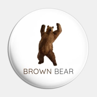 Brown Bear, Grizzly bear, Ursus arctos Pin