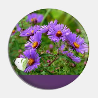 Linger - Purple Asters Pin