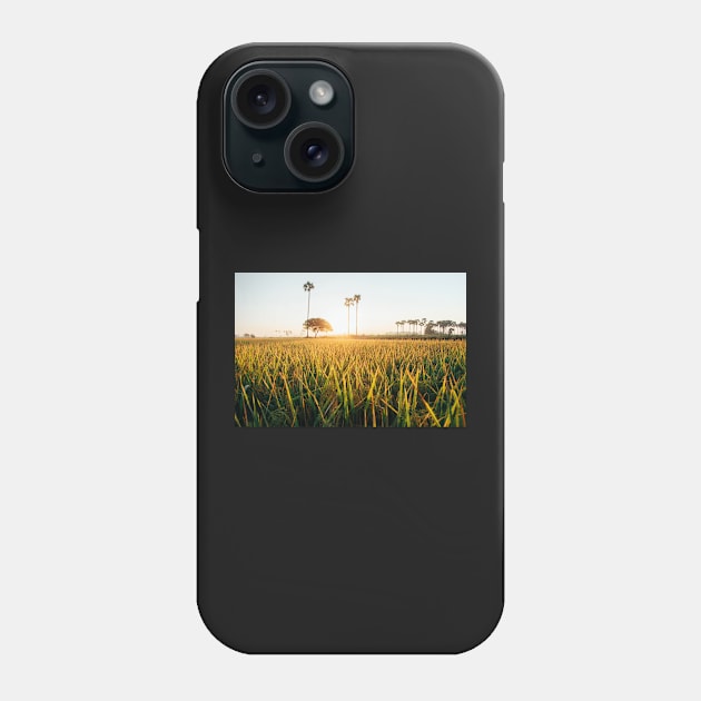 Sunrise Over Grass Field in Burmese Countryside Phone Case by visualspectrum