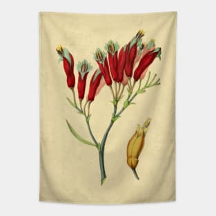 Phormium Tapestry