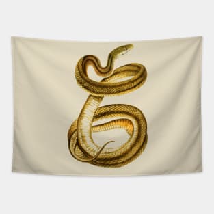 serpent,cobra,reptile,viper,venom,lizard,rattlesnake,king cobra,dragon,hydra,poison,venomous,plumber's snake,pythonidae,pythons,auger,python,squamata,serpentine,worm,big,ophidian,rattlesnakes,medusa,snakebite Tapestry