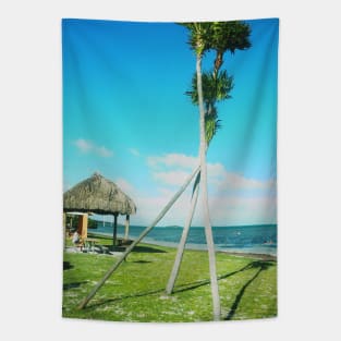 Palm tree photo Key West Florida blue sky palmtree landscape USA nature lovers Tapestry