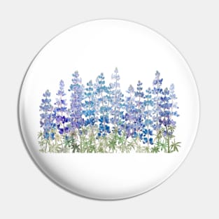 blue purple lupin flowers field horizontal Pin