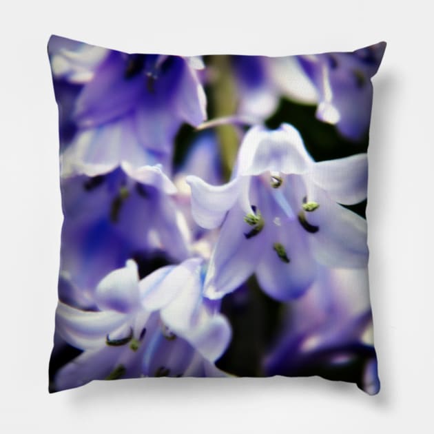 Bluebell Flowers Pillow by InspiraImage