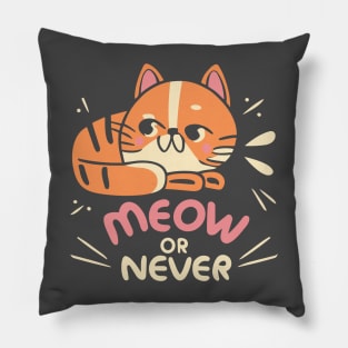 Meow or Never Pillow