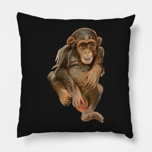 Baby Chimpanzee Pillow