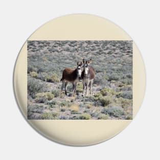 Wild burros, donkeys, wildlife, Mama and Baby Burro Pin