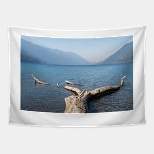 Lake Crescent Tapestry