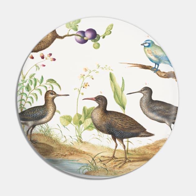 Blue Tit with Three Wading Birds and a Fig Tree (1575-1580) Pin by WAITE-SMITH VINTAGE ART