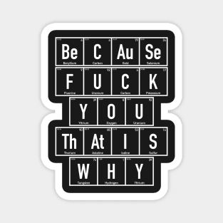 Chemistry - Because Fuck You That is Why - Periodic Table Magnet