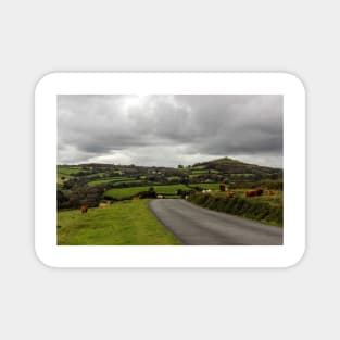 Dartmoor Magnet