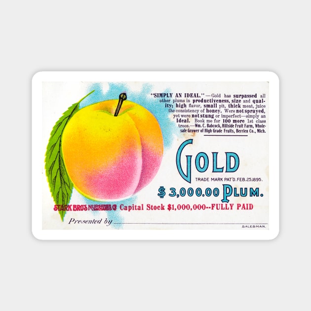 Gold Plum Ad Magnet by WAITE-SMITH VINTAGE ART