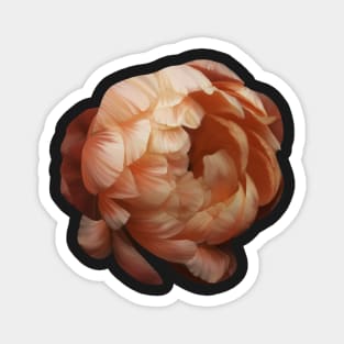 Rose flower Magnet