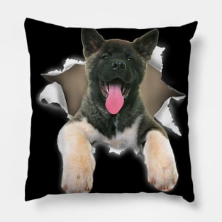 Akita Torn Dog Inside Hole Dog Mid Torn Pillow